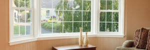 Window design